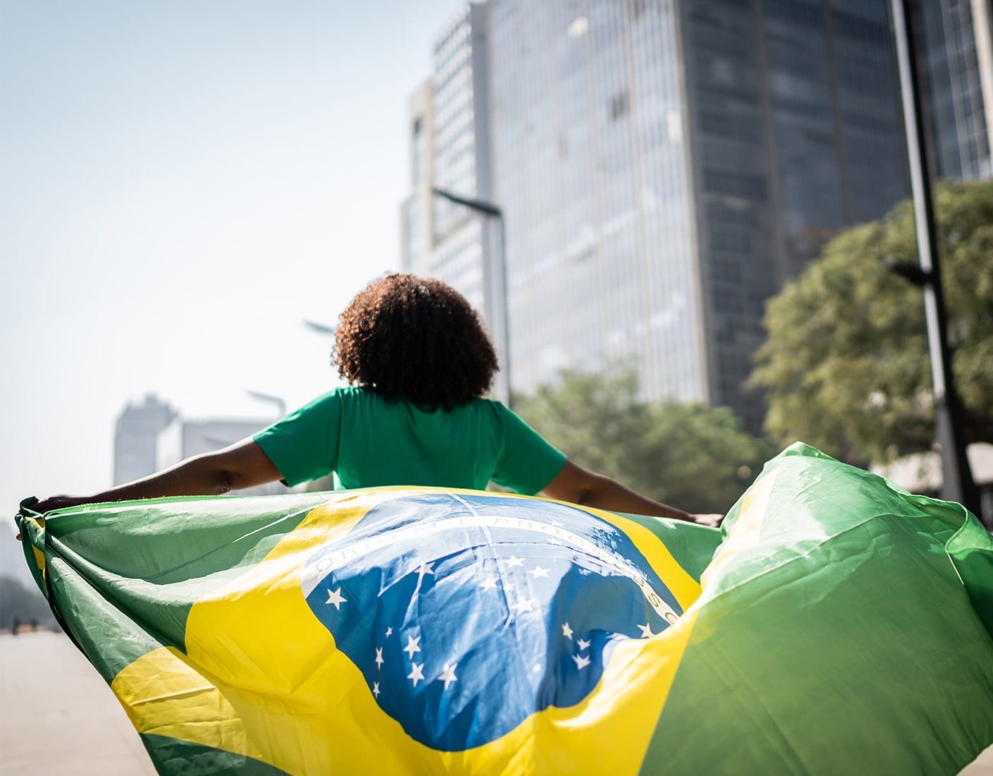 Federal Senate of Brazil background